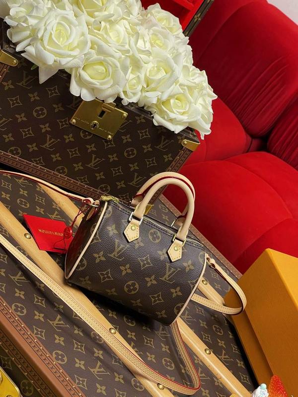 LV Handbags 230